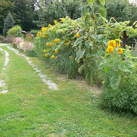 Auto-Chatka Sandomierz Dış mekan fotoğraf